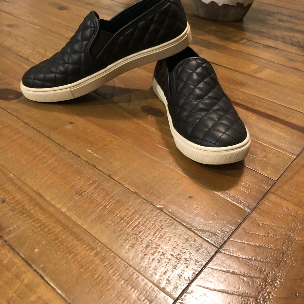 Steve Madden ECENTRCQ slip on
